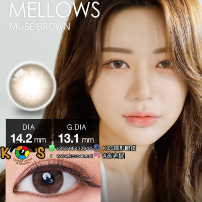 [1Day]Olola Mellows Muse Brown  멜로우 원데이 뮤즈브라운